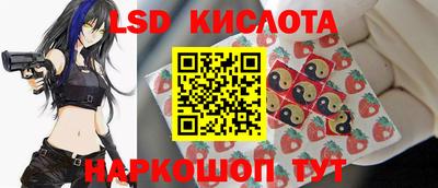 стаф Кандалакша