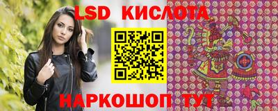 стаф Кандалакша