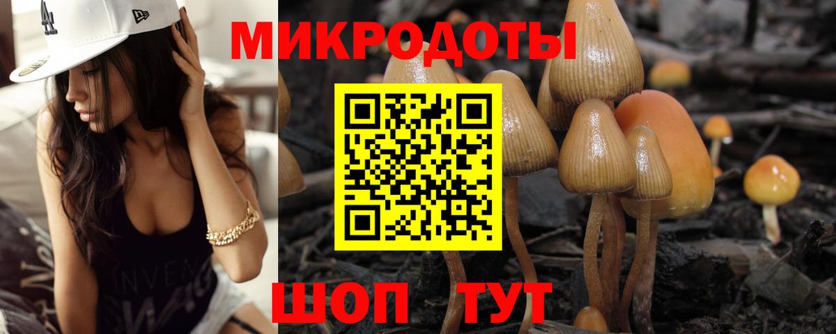 Киселёвск  Галлюциногенные грибы Psilocybe  Вход с VPN 