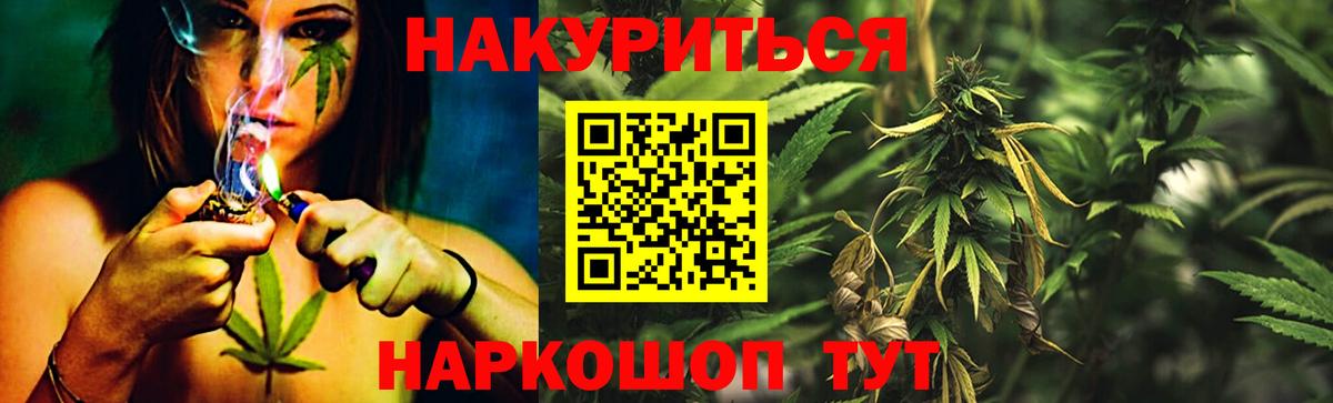 Бошки Шишки конопля Киселёвск
